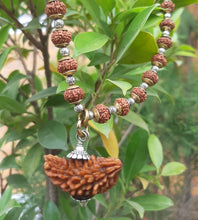 Load image into Gallery viewer, 1 Mukhi Lab Certified Nepali Rudraksh