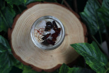 Load image into Gallery viewer, essential oil candle