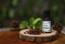 Load image into Gallery viewer, Clove Essential Oil