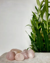 Load image into Gallery viewer, Rose Quartz Tumble Stone
