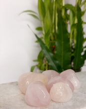 Load image into Gallery viewer, Rose Quartz Tumble Stone