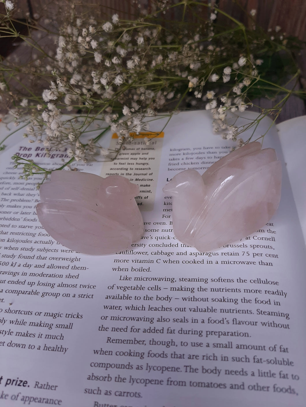 Rose Quartz Duck - Pack of 2