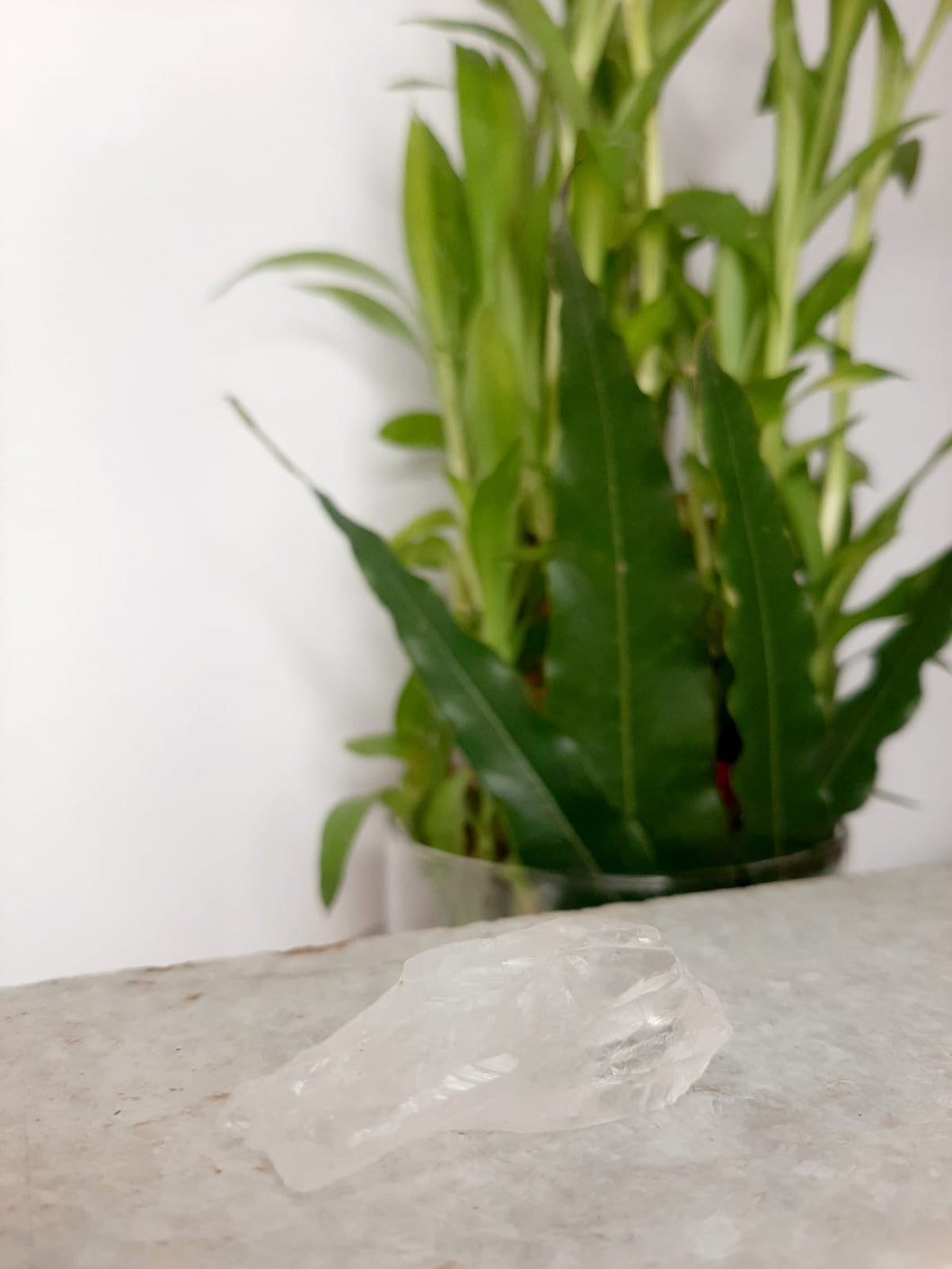 Selenite