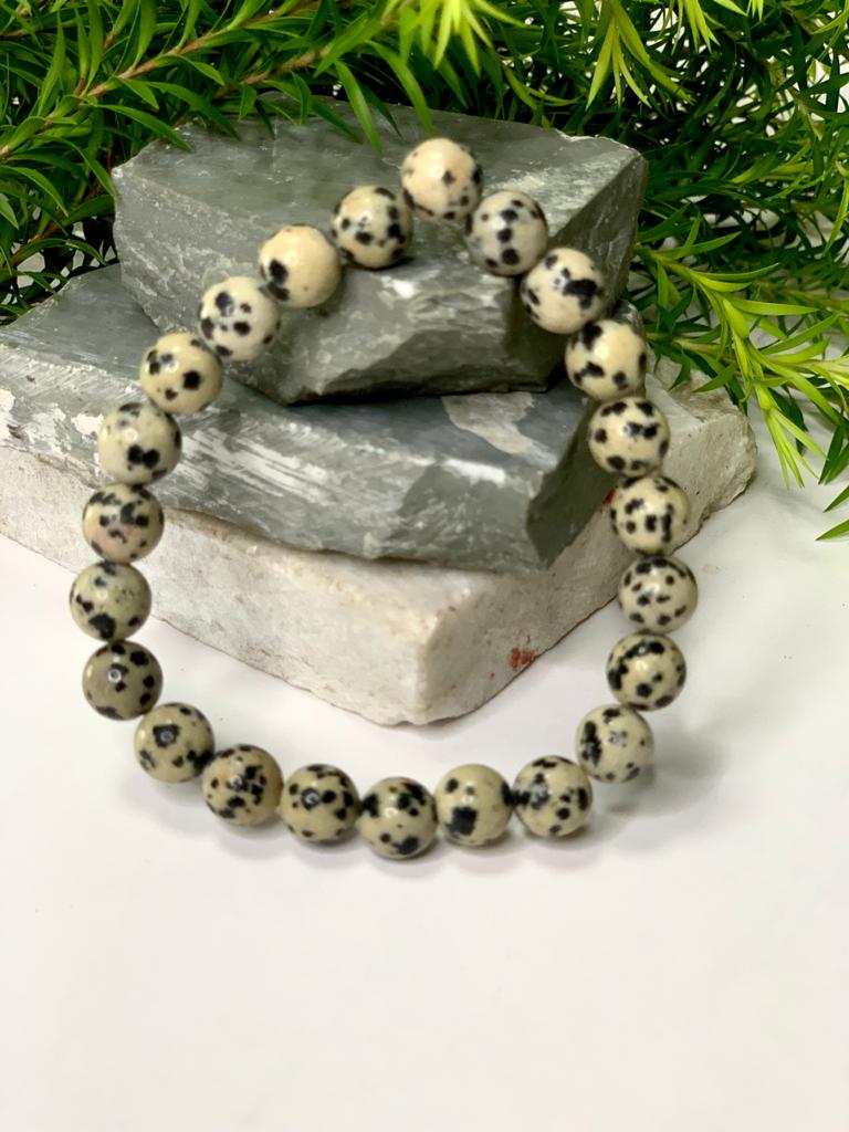 Dalmatian Jasper Bracelet - Lab Certified | 8 mm |