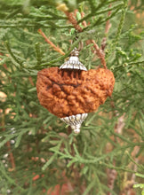 Load image into Gallery viewer,  1 Mukhi  Nepali Rudraksh
