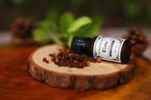 Load image into Gallery viewer, Clove Essential Oil
