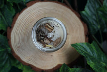 Load image into Gallery viewer, Commanding Ritual Candle | Soy Wax | 100 gms | With Rare Herbs, Crystals &amp; Essential Oils | Burning Hours 30 | |
