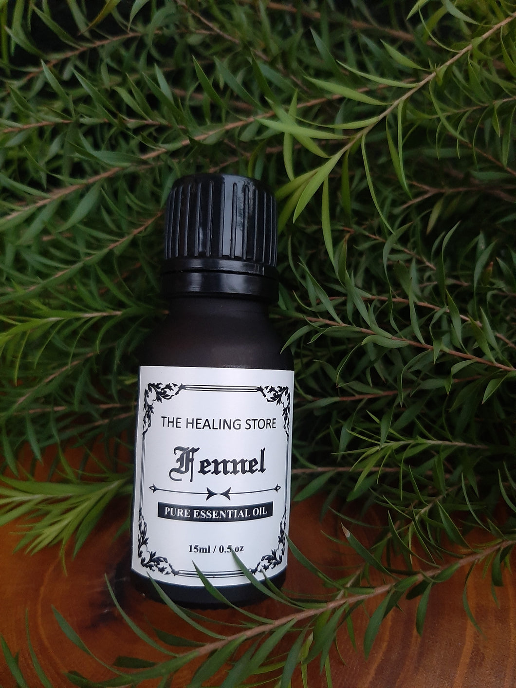 Fennel Essential Oil