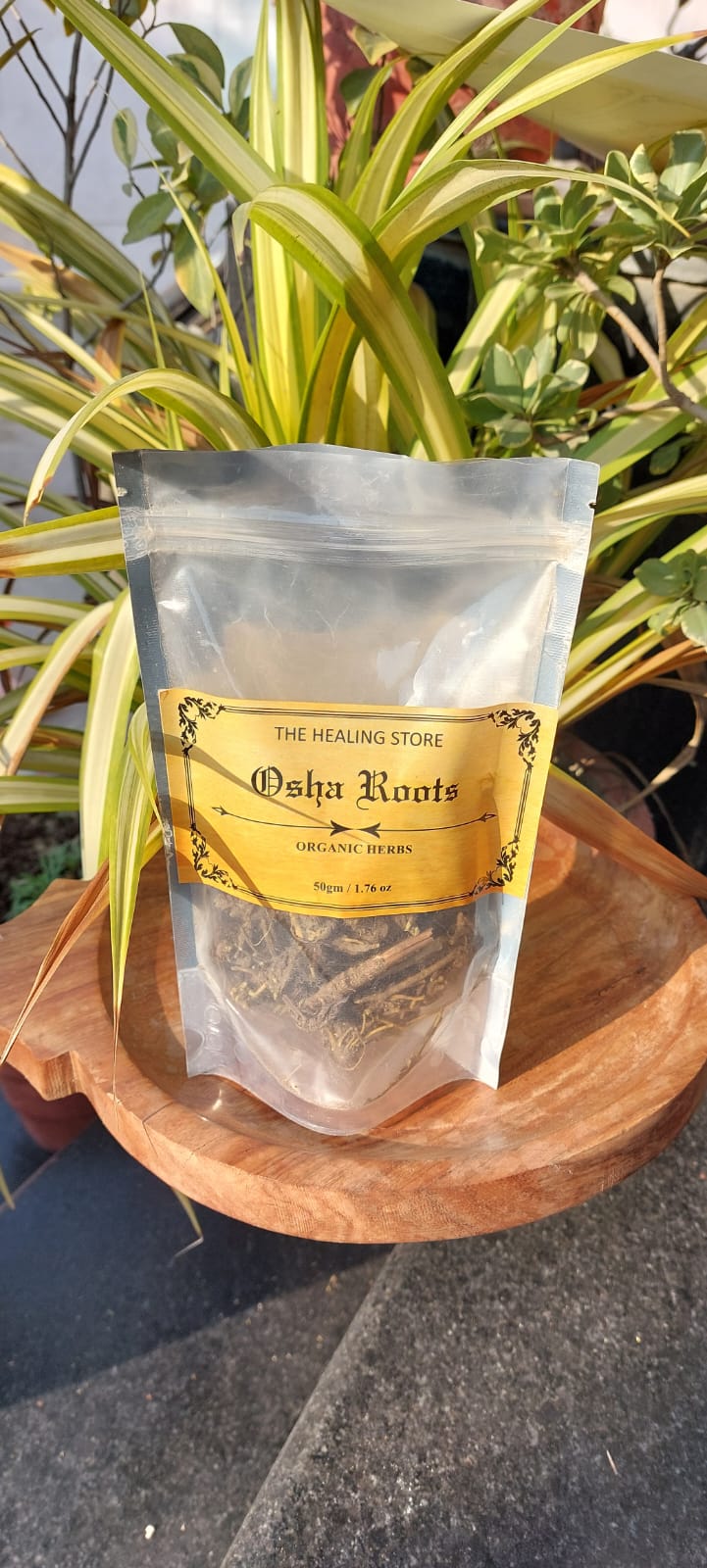 Osha Root | 50 grams |