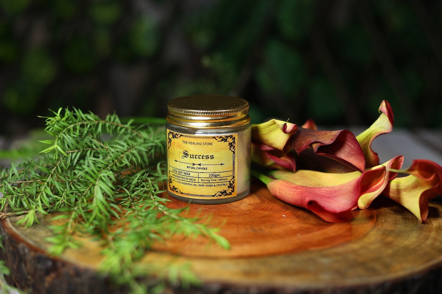 Success Ritual Candle | Soy Wax | 100 gms | With Rare Herbs, Crystals ...